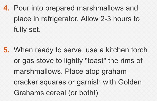 Roasted Marshmallow Smores Shots ❤️