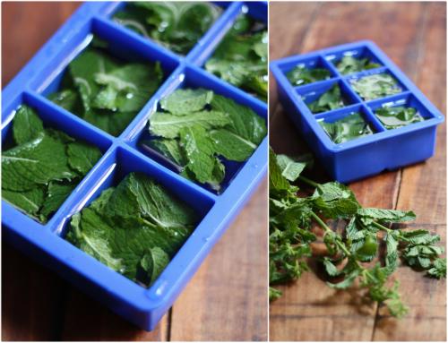 Just pack leaves of fresh mint from store into your ice trays filled with water.