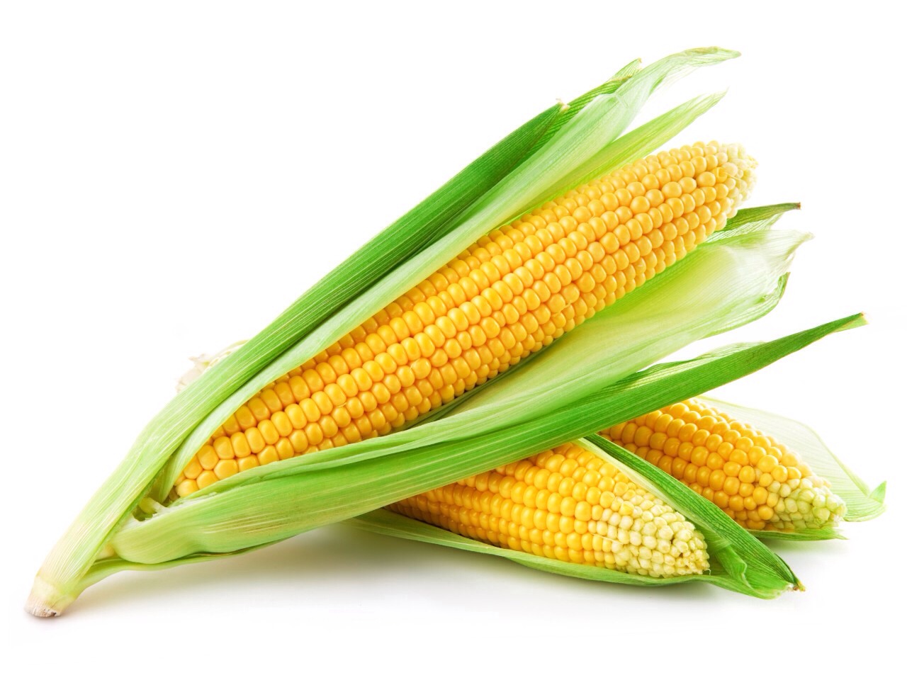 All Ways Eat Health