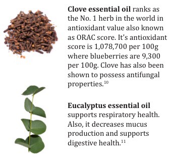 The 7 Most Powerful Essential Oils To Have In Your Home.