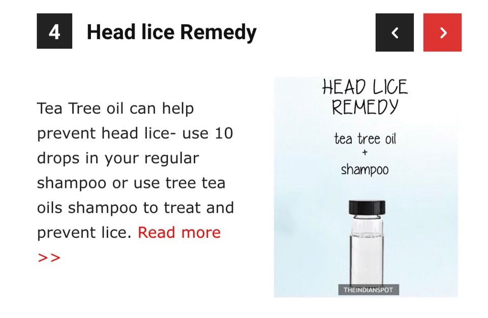 Top 10 Natural Remedies For Every Hair Problem