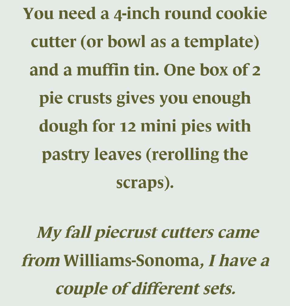 Mini Pumpkin Pies!!!