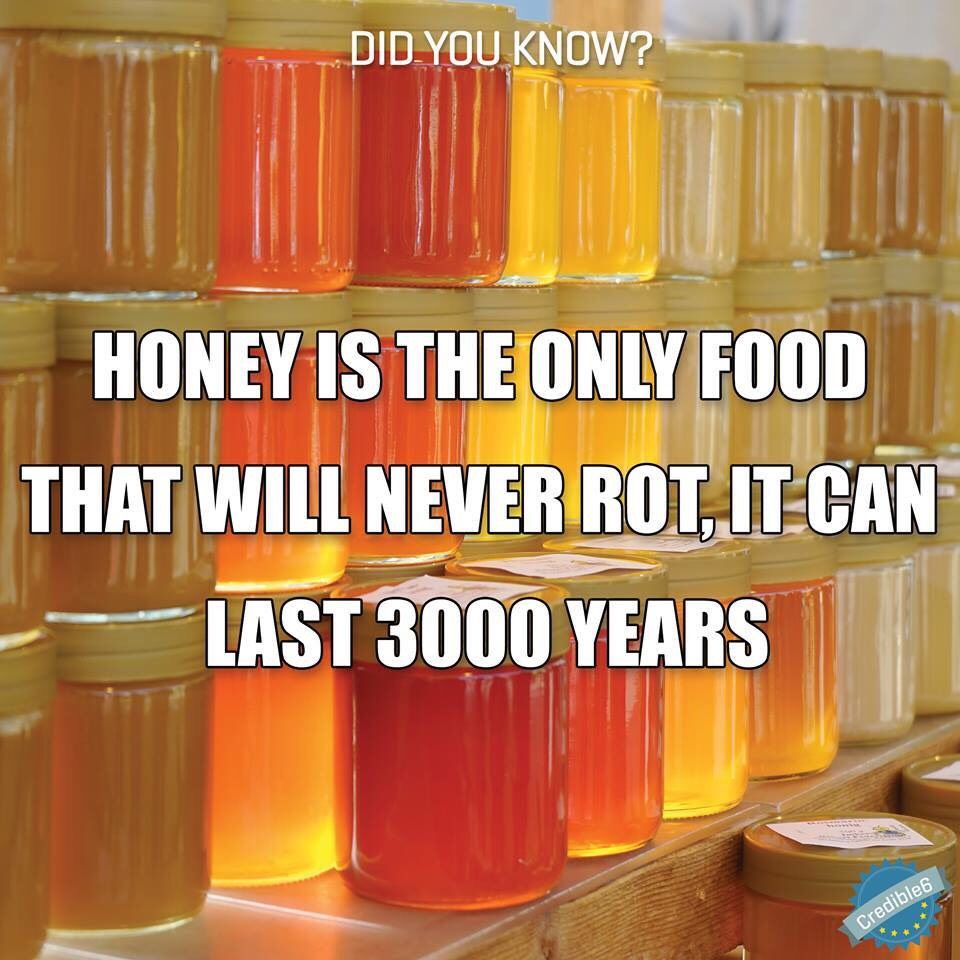 Fun Food Facts. 😊
