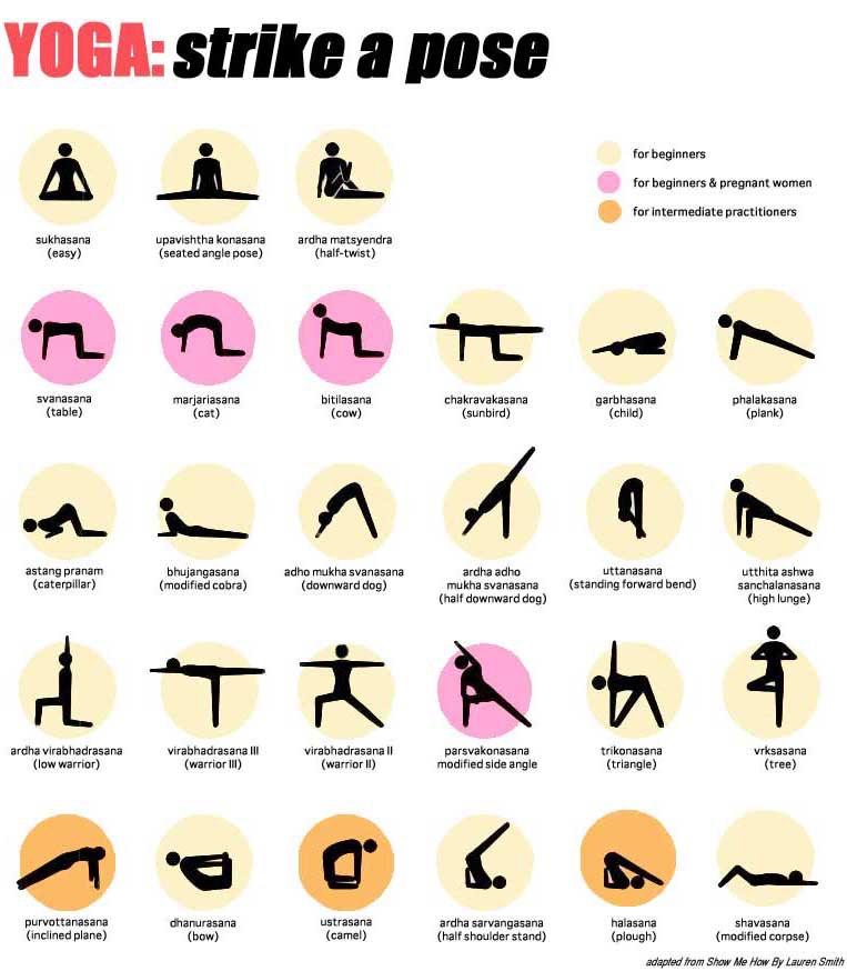 Beginners Yoga/Stretch Poses