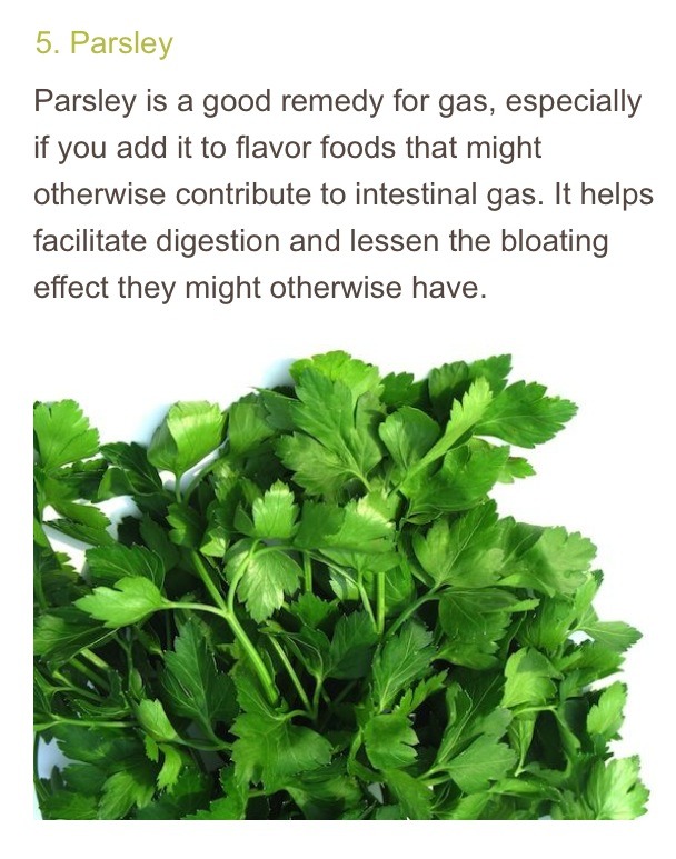 Top 10 Flat Belly Foods 👙
