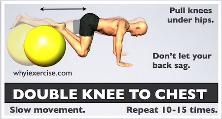 Simple & Effective Exercise Ball Moves
