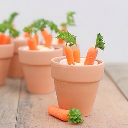 Carrots and Hummus:

• 10 Baby Carrots
• 2 tsp of Hummus