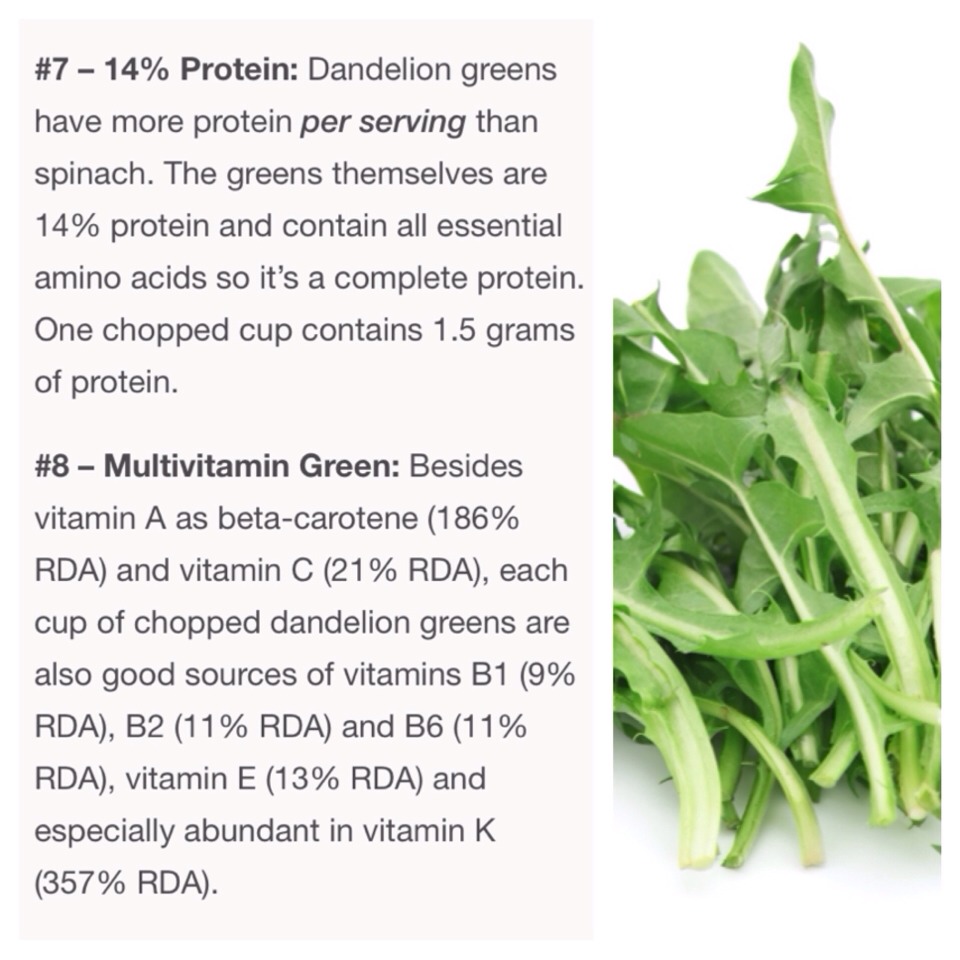 10 Reasons You Should Use Dandelion Greens In Your Green Smoothie Or Just In Salads 