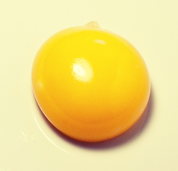 EGG YOLK ~ helps reduce clogged pores , fights bacteria and keeps oily skin under control.