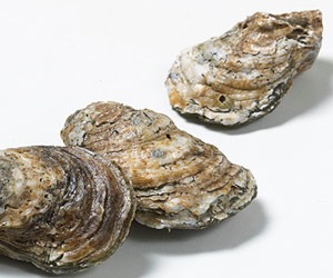 Oysters
The jury's still out on whether oysters are really aphrodisiacs, but they are a good source of zinc, which aids in skin cell renewal and repair. Zinc also keeps your nails, hair, and eyes healthy. Who needs an aphrodisiac when you look and feel beautiful?