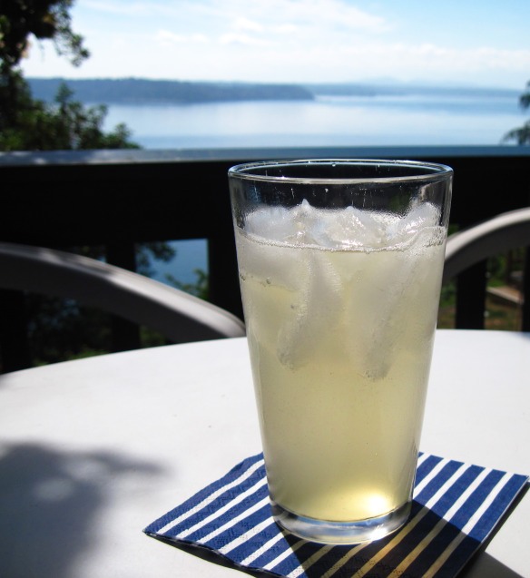 4. Add club soda or seltzer to the syrup to taste to make the ginger ale. Add ice and enjoy! (In my tall glasses, I liked the ratio of ¼ cup of syrup with 10 ounces of sparkling water.)
