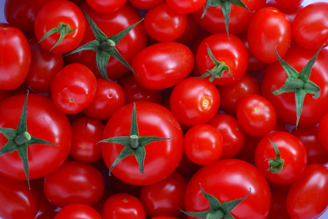 Tomatoes are more nutritious when cooked. Cooking slightly changes the lycopene to a more bioavailable form.   Processed tomatoes of any kind – paste, sauce, or diced – are often the most nutritious form, these tomatoes are usually cooked and processed within a few hours of harvest.