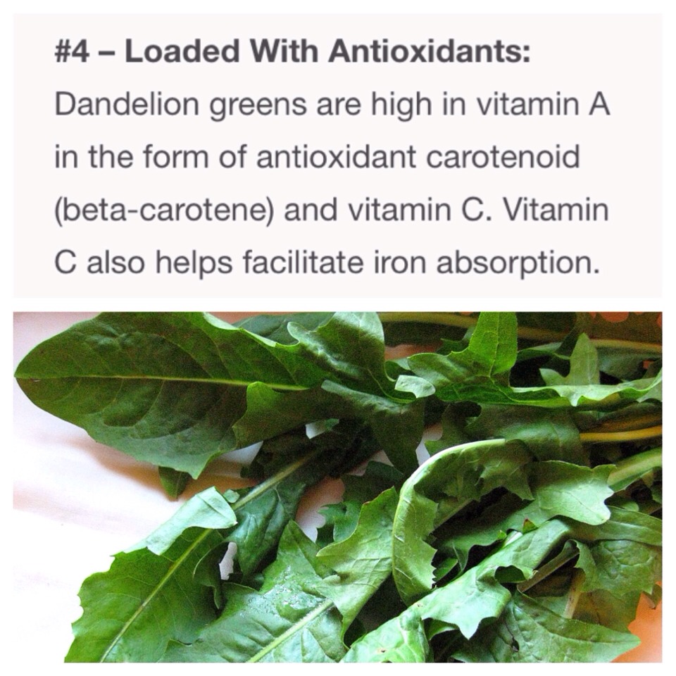 10 Reasons You Should Use Dandelion Greens In Your Green Smoothie Or Just In Salads 