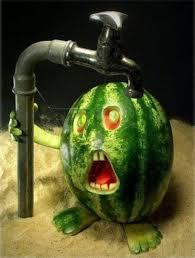 "Creative Vegetable Designs Cut"