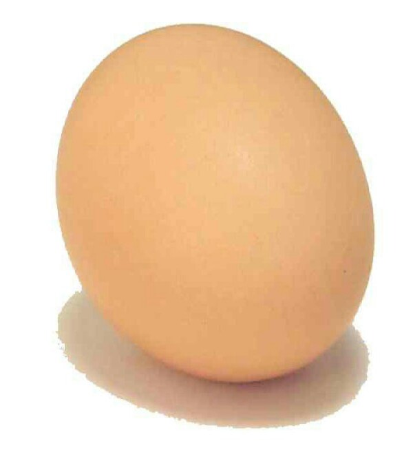 last but not least mix an egg along with your mayo and oil 