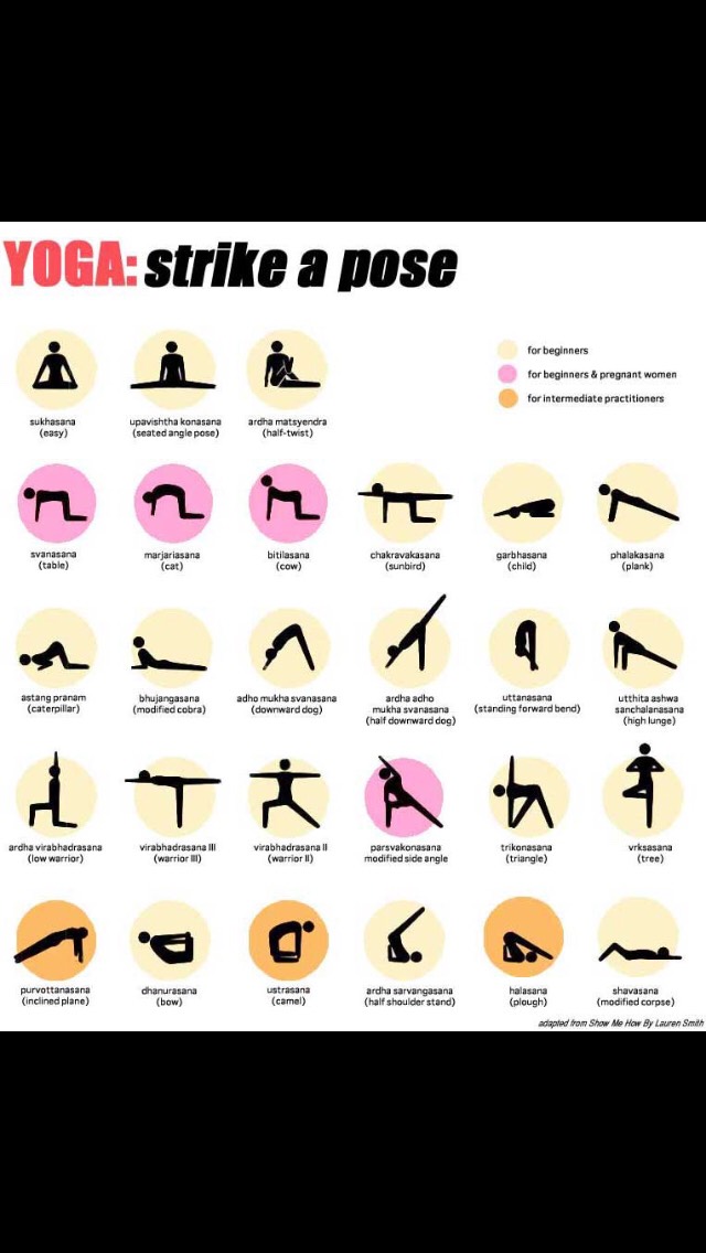 Yoga Poses For Beginners 🙏🏼