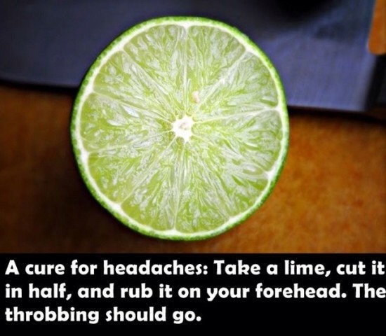 Everyday Life Tips! 