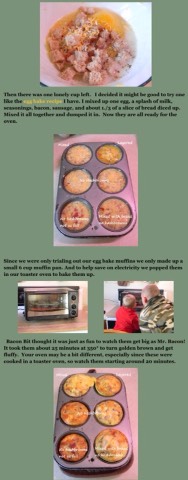 Breakfast Egg Muffins 