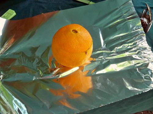Put the tops back on and wrap the oranges with aluminum foil.
