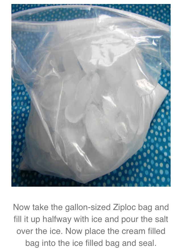 Homemade Ice cream In A Baggie!!