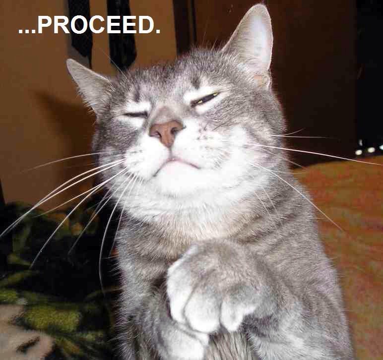 Funny Cat Pics.