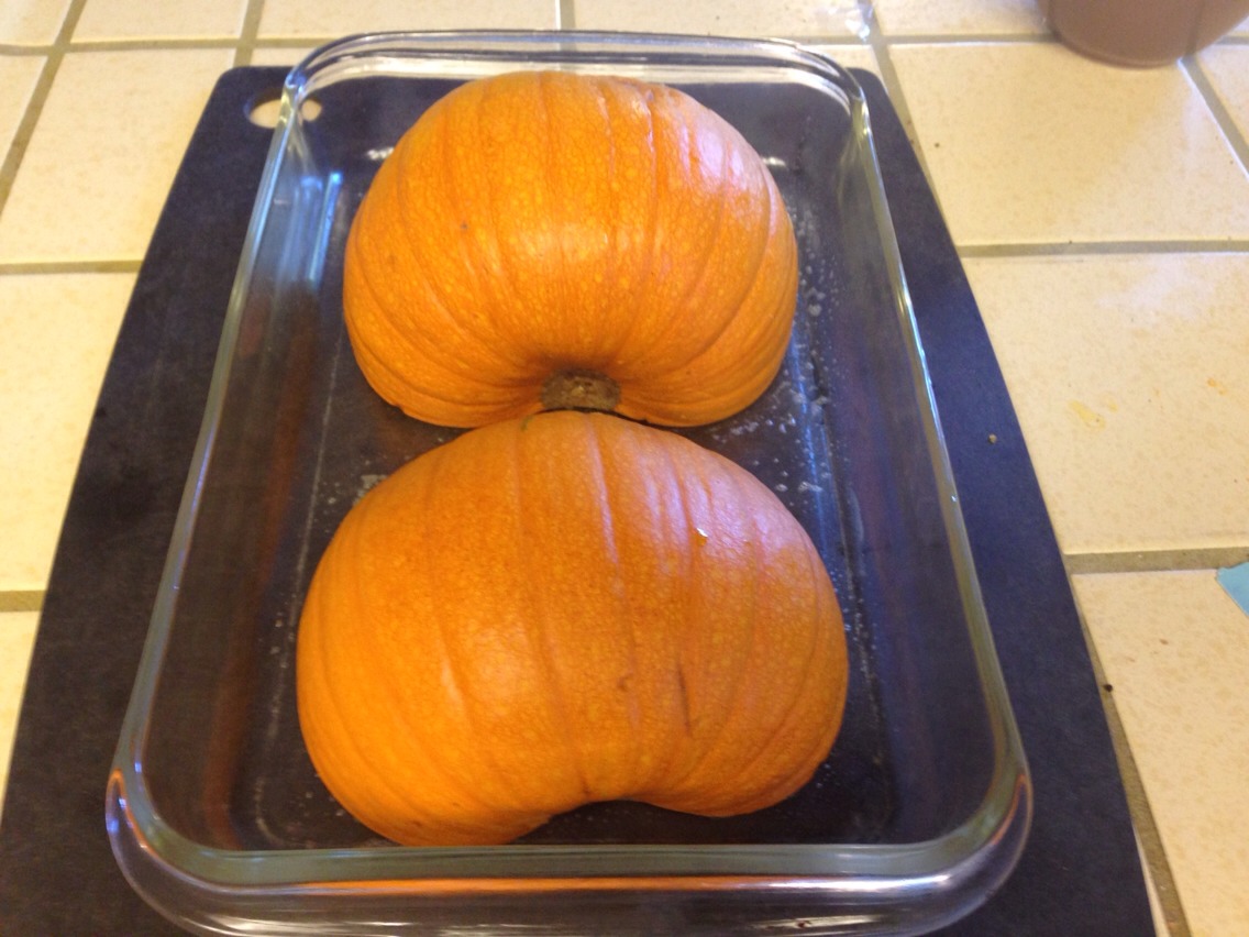 Place face down in oven proof pan.
