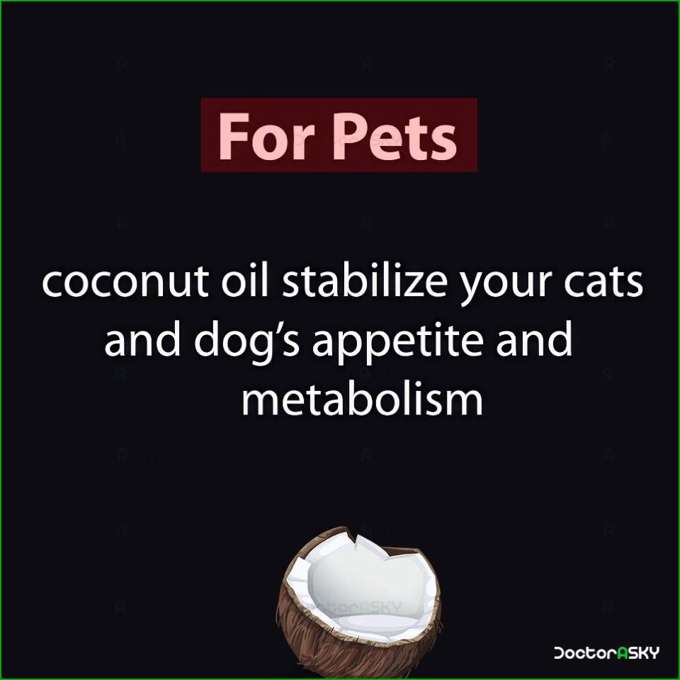 10 Amazing Uses Of Coconut Oil.