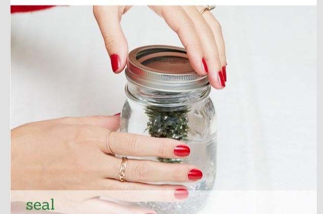 DIY Christmas Gifts 