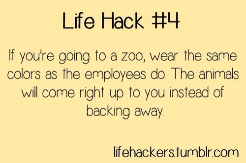 Easy Life For Simple Life Hacks