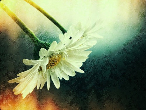 Beautiful Photography
