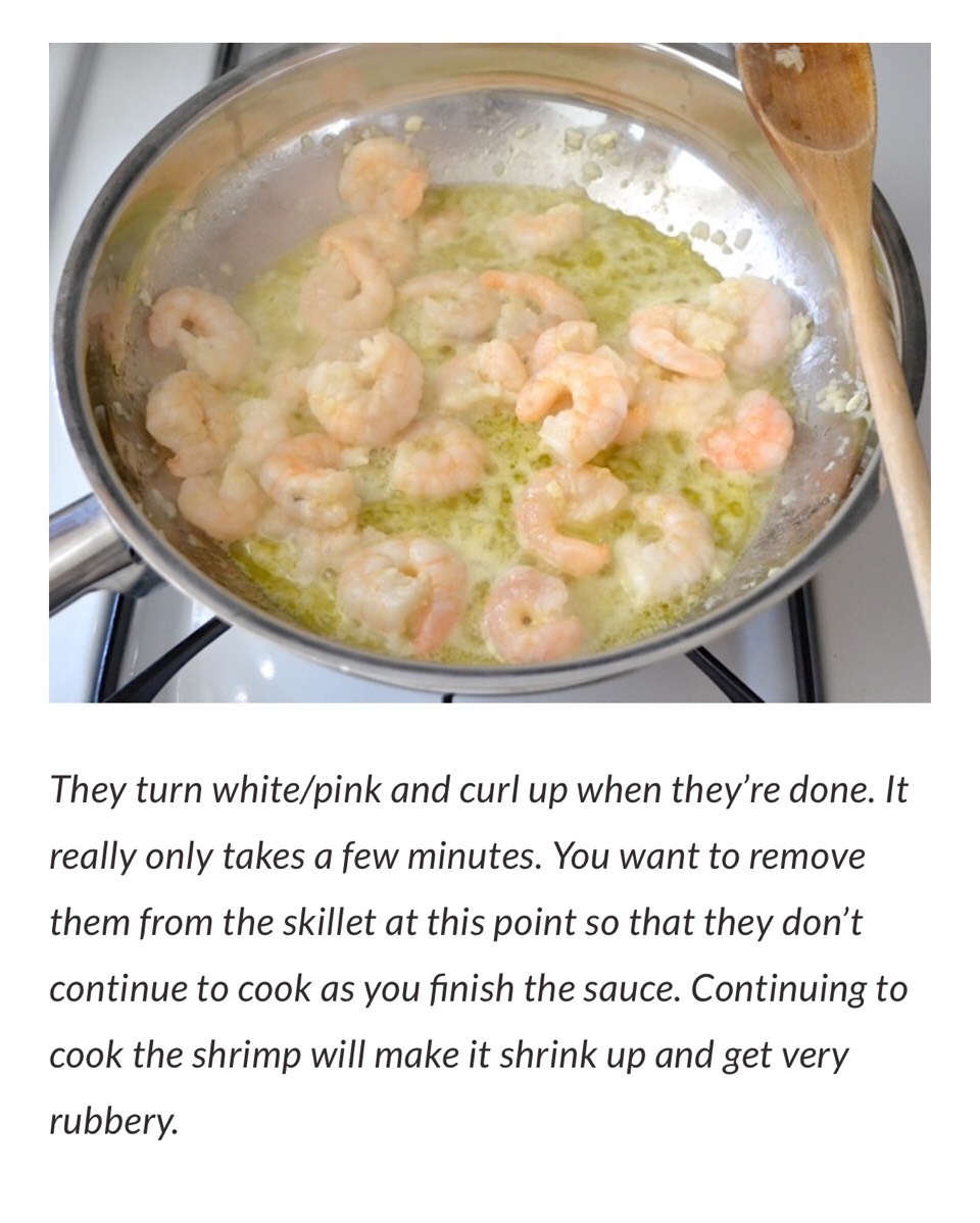 Spicy Shrimp Tomato Pasta 