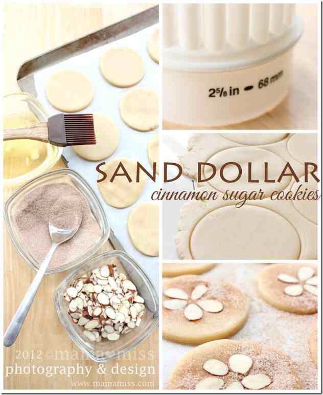 💙ADORABLE!!!(: Sand Dollar Cinnamon Sugar Cookies!!!!(: 💙