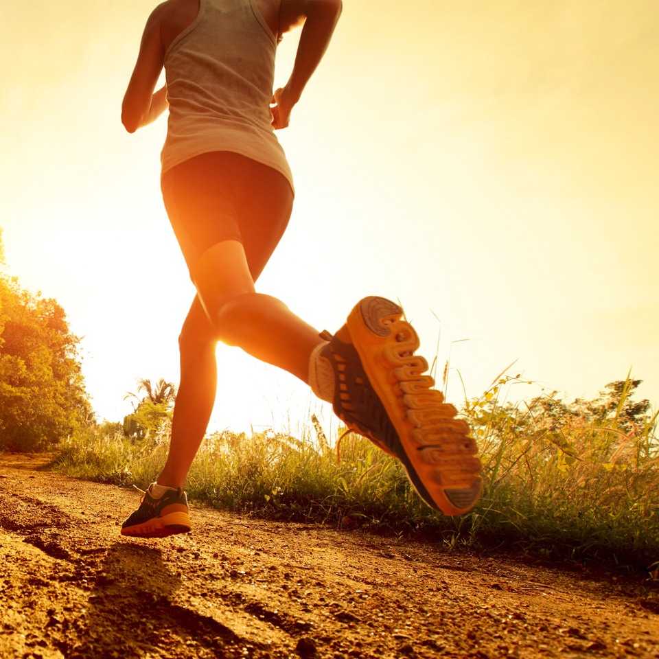 Keep active every day.
-walk to work, go for jogs, play tag with the kids, walk the dog, play the wii, go shopping with friends, bike, sweep/mop, wash all the walls/wash all the windows, mow the lawn, do a 30 second plank upon waking, do 30 squats before bed
Make exercise part of your life.