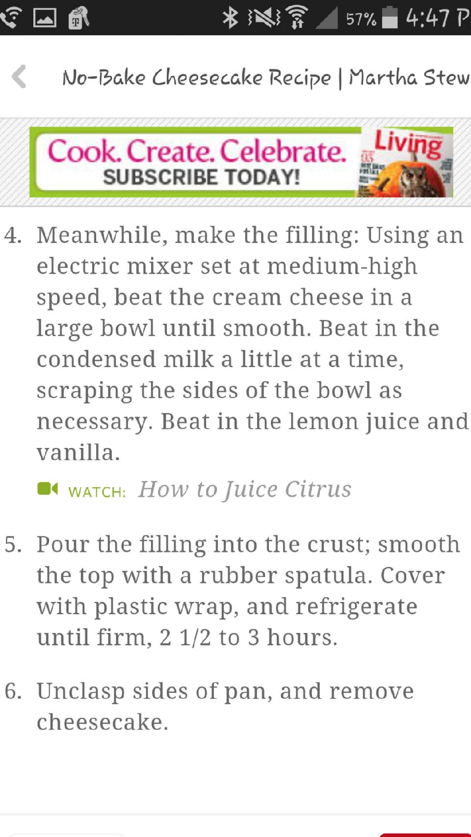 No bake cheese cake recipe 