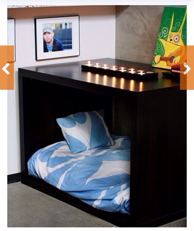 🌟 Creative Dog Bed Ideas You And Furry Friend Wld Love! 🌟