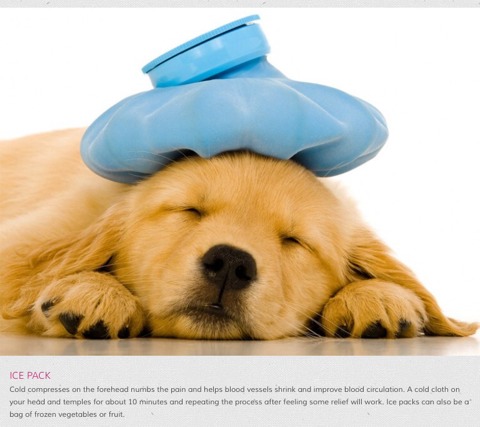 10 Natural Ways To Get Rid Of A Headache.
