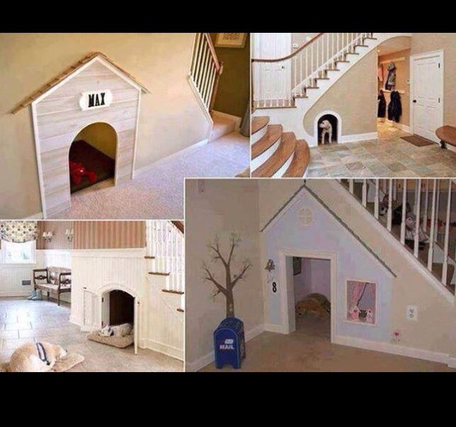 Tips For Dog Owners