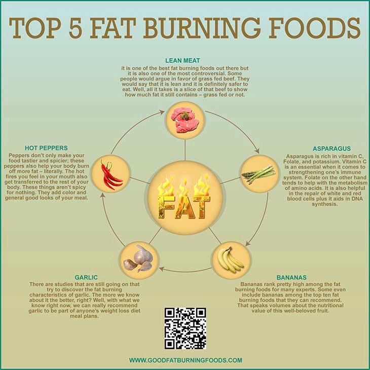 Top Fat Burning Foods