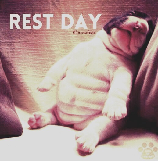 Friday

--Rest day ! But still do a 15 mins running warm up! 