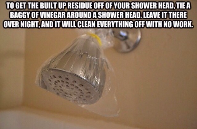 Great Life Tips