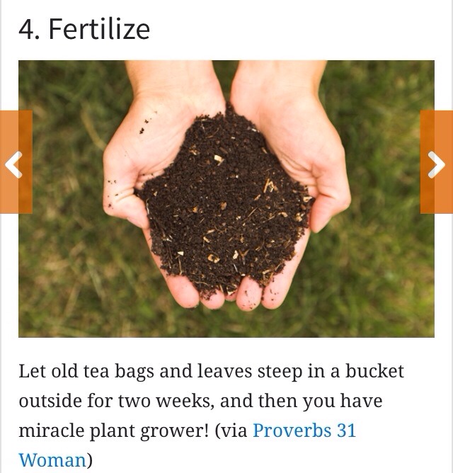 Genius Ways U Can Reuse Your Old Tea Bag