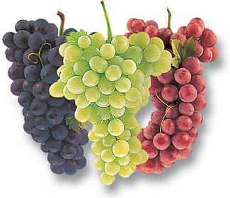 Remove grapes from the vines, wash and dry them before placing them into a plastic bag to freeze in your freezer. 
