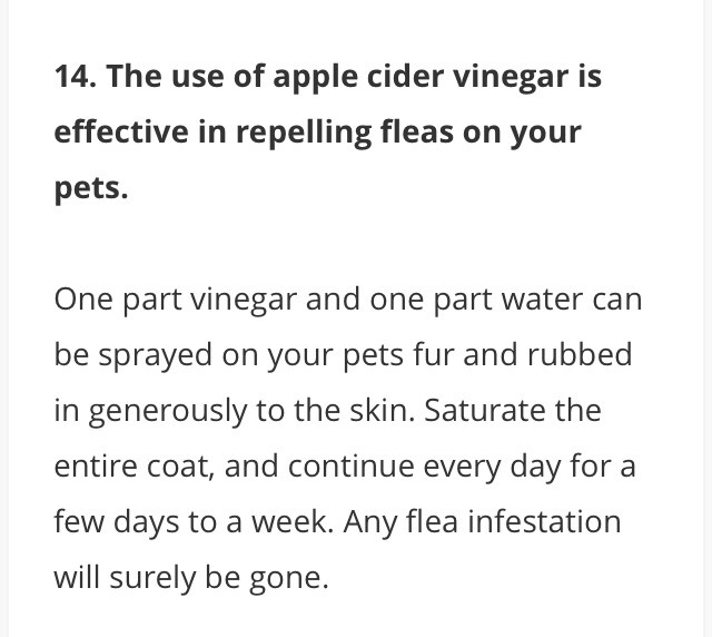 15 Benefits Of Apple Cider Vinegar ❤️👍😘