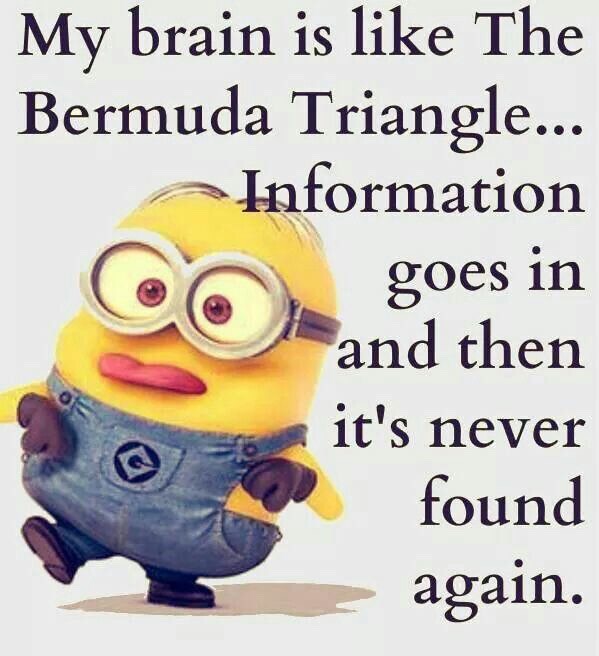Minions Funny Quotes