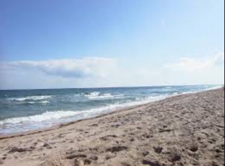 Go to the beach - I have been to the beach on only 10-20 dollars for gas. I live about 2.5 hrs away from the closest beach.  Bring some food, water, sunscreen, and an extra pair of clothes/towel. 