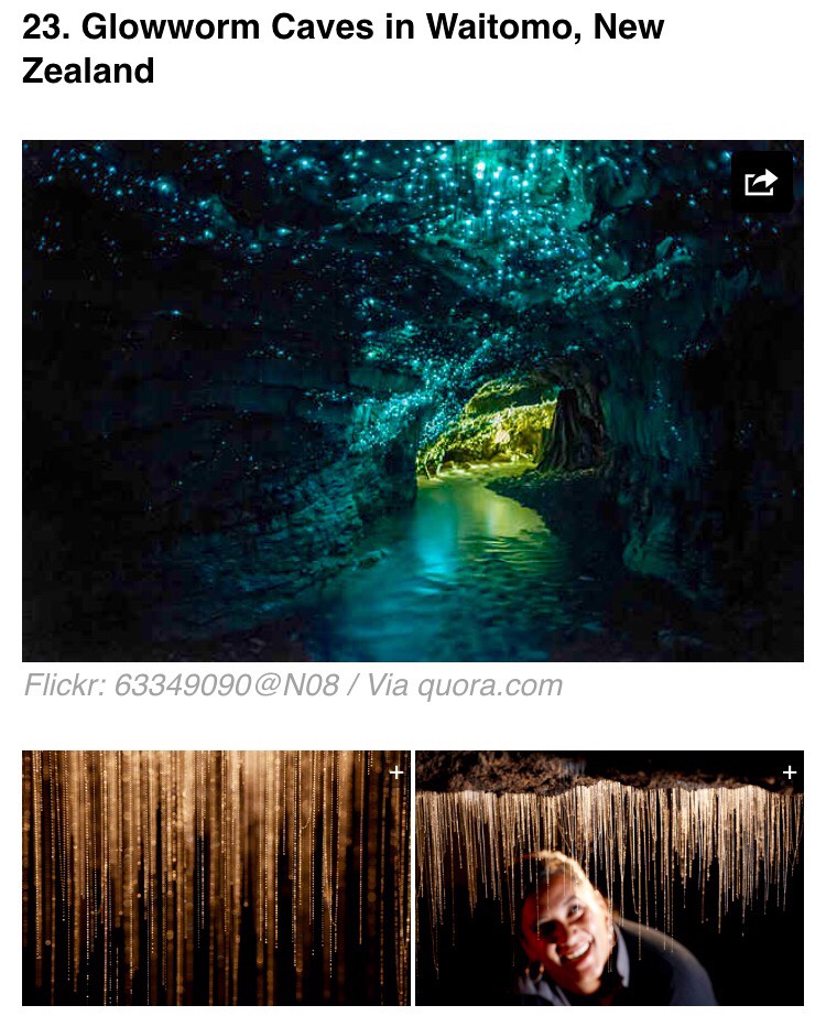 This specific spot in the Waitomo Caves is known as the Glowworm Grotto, a place where glowworms create a starry effect on the ceilings. This species is exclusively found in New Zealand and is around the size of a mosquito.