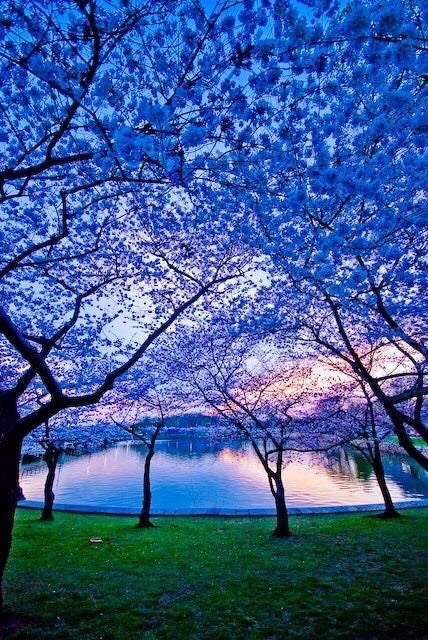 Blue💙