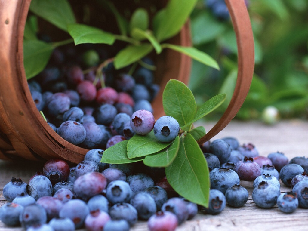 Blueberries 