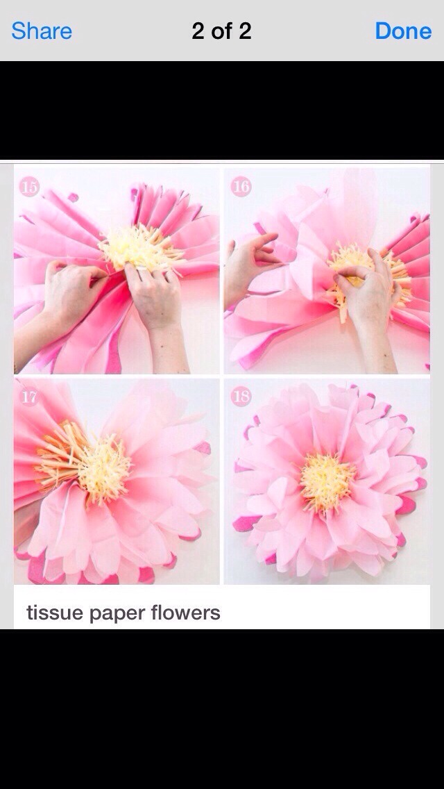 Flower Pom-Pom From  Tissue