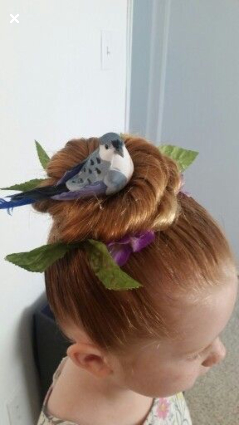 Crazy Hair Day Ideas 